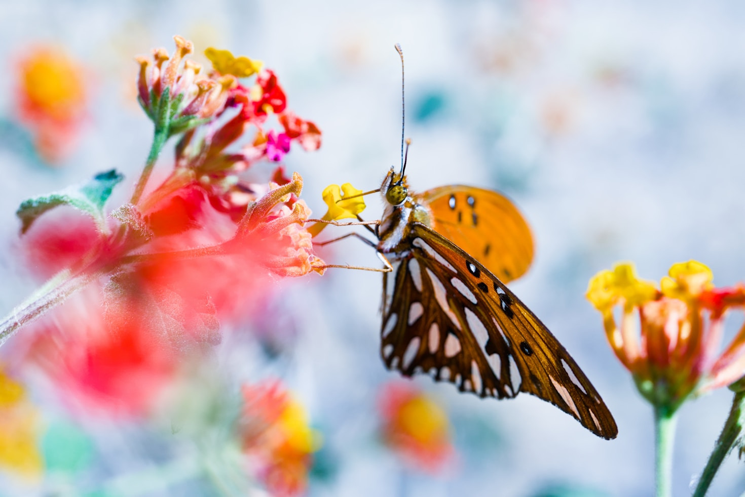 Building a Community Around Shared Goals